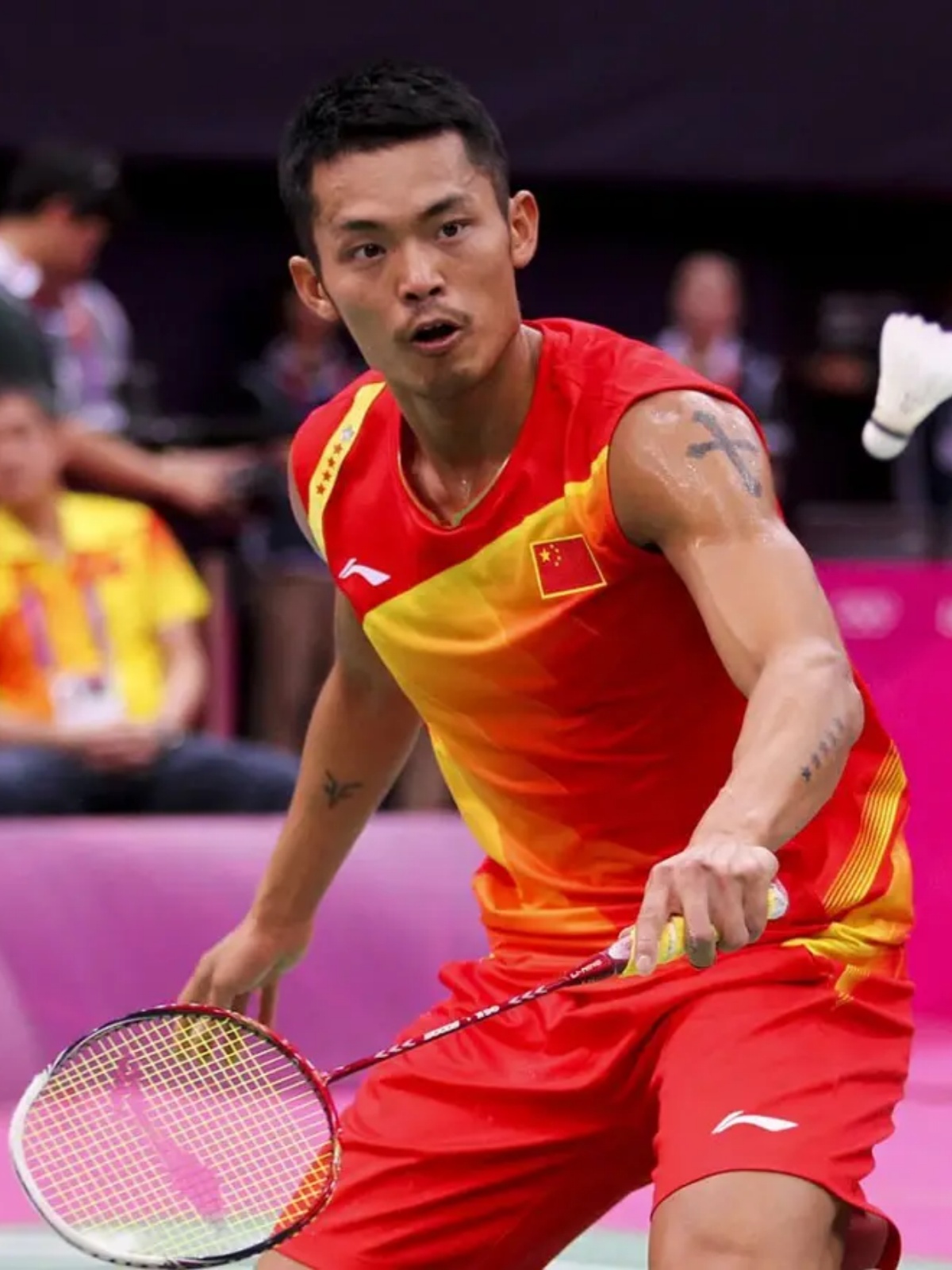 但对普通家 但对普通家