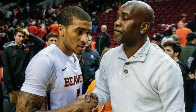 一些有用的 一些有用的